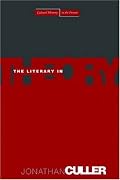 The Literary in Theory (Cultural Memory in the Present)