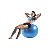 NordicTrack 65 cm Exercise Ball