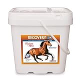 Recovery EQ With Hyaluronic Acid, 5 Kg