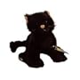Webkinz Halloween Black Cat with Trading Cards