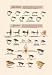 12 X 18 Stretched Canvas Poster Fly-Fishing Lures: Low Water and Special