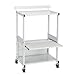 BALT 25983 Stax Dual-Purpose Printer Stand w/3 Shelves, 25w x 20d x 42-1/2h, Gray