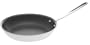 All-Clad Master Chef 2 Nonstick 10-Inch Fry Pan