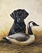 TIN SIGN NOSTALGIC ~ LABRADOR RETRIEVER DUCK DECOYS * TWO OF THE BEST *