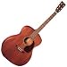 J15 Acoustic Guitar Satin