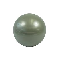 Gym Ball / Yoga Ball / Swiss Ball Anti-Burst 55cm - Silver