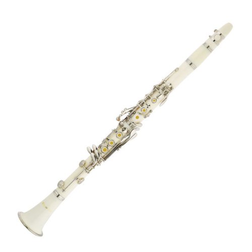 Toys: Cecilio White Bb Clarinet w/ Hard Shell Carrying Case and Accessories