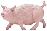 31ZJNFwCaGL. SL160  Pork fat from Safari, Ltd.