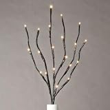 Gerson 36865 20-Inch Battery Operated Brown Wrapped Lighted Branch with 20 Warm White LED Lights