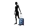 Kipling Darcey Solid Small Wheeled Luggage, One Size