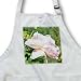 Garden Beauty A Pink Rose Flowers Photography - Full Length Apron With Pockets 22w X 30l