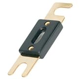 Fuse 200 amp Anl-Gold 2 Pack Case Pack 6