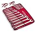 Proto 1200FASD 15pc 12pt Chrome Finish Combination Wrench Set