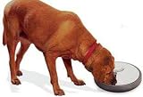 Pet Dish 6 Days