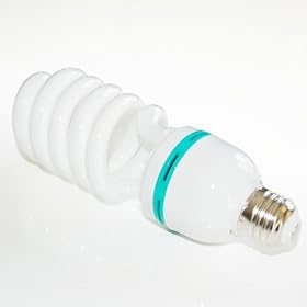 Loadstone Studio Photography 65W Compact Fluorescent Full Spectrum Daylight Photo Light Bulb / 300W output