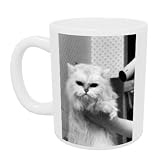 Cat Flap - Mug - Standard Size