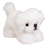 Pixie Pekingese Pouncing 6