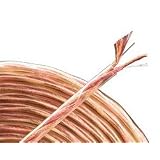 Buy 100' CL Rated Speaker Cable  by Monster