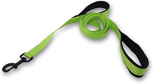 Wagtime Club Soft and Thick Double Handle Premium Nylon 4FT x 3/4 in Leash - Dual Neoprene Padded Handles for Ultimate Comfort and Control - for Medium to Large Dogs- Vibrant Colors