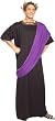 Adult Dionysus Greek or Roman Costume - Adult Std.