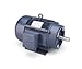 Leeson Electric