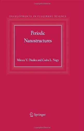 Periodic Nanostructures: 7 (Developments in Fullerene Science)