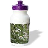 Beverly Turner Flora Photography - Mountain Mint Flowers - Water Bottles