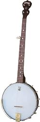 Deering Goodtime Classic 5-String Banjo