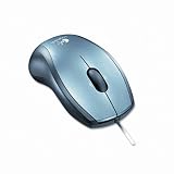 Optical V100 Notebook Mouse, Two-Button/Scroll, Silver