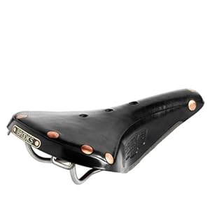 Buy Brooks Saddles B17 Bicycle Saddle (Titanium Rails, Black)