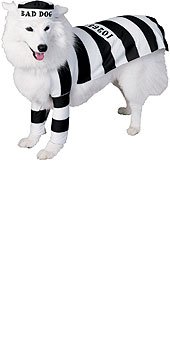 Prisoner Dog Costume Size Large