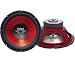PYLE PLW-10RD Red Label High Performance Subwoofer