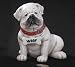 Large Bulldog Shape Coin Bank For Pet Lovers And Bulldog Fans