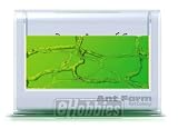 Ant Farm Gel Colony