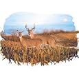 Deer In Corn Fields Adult Long Sleeve T-Shirt
