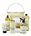 Caldrea Blue Sage Cleaning Essencial Set
