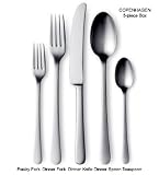 Georg Jensen Copenhagen Steel Five Piece Place Setting