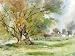 Light and Mood in Watercolour DVD with David Curtis