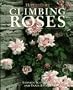 Climbing Roses