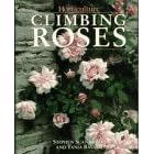 Climbing Roses