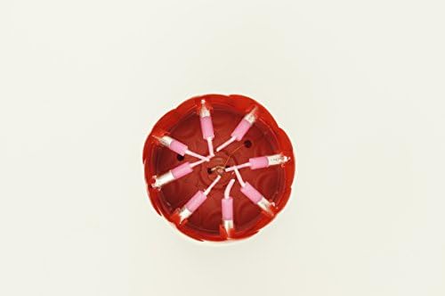 Crazy Holiday, 5pcs , Rotatable , Singing , Flower Birthday Decorate (Red)