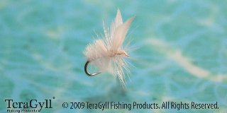 White Moth Spinner