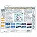 Quick Reference Weather Forecast Card