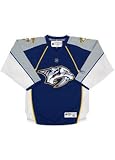 Nashville Predators Street Plate