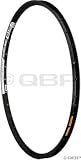 WTB Laserdisc Trail Bicycle Rim (26-Inch, 32-Hole, Black)