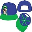 Mens Bioworld Nintendo Super Mario Bros. Luigi Snap-back Hat