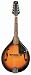 J Reynolds A Style Student Mandolin Popular Model!
