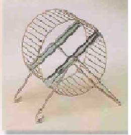Deluxe Hamster Wheel