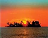 Sunny Island (Sun Setting Behind Island) Art Poster Print - 16 X 20