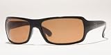 Ray-Ban RB4075 601/4I Black Crystal Brown Sunglasses